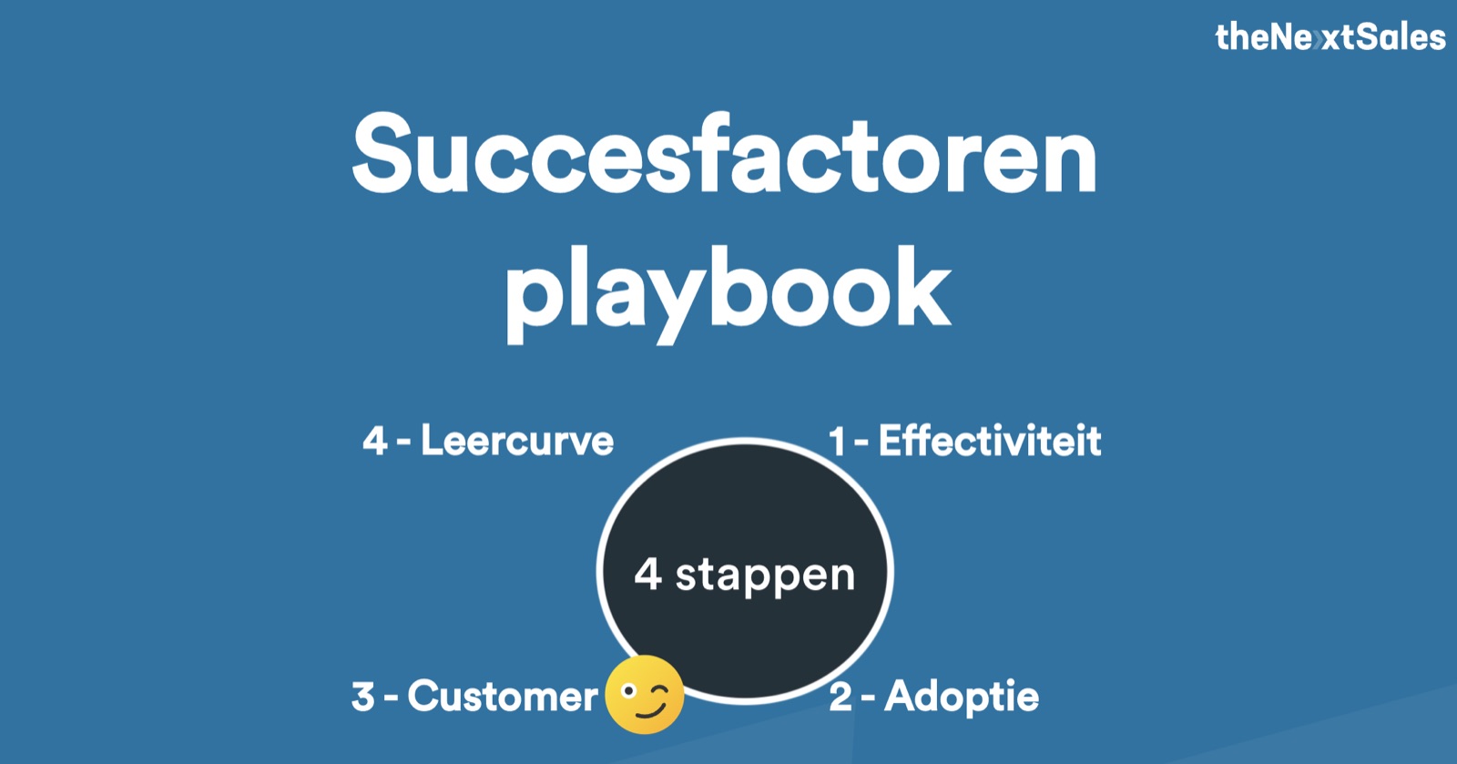 succesfactoren playbook